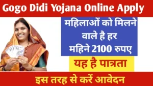 Gogo Didi Yojana 